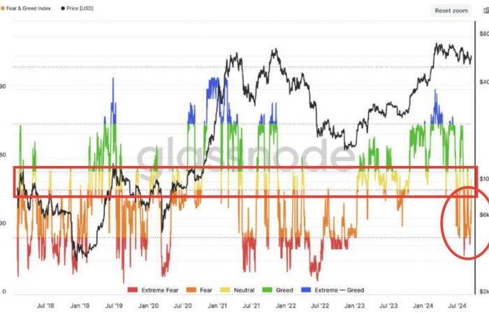 ¿Los indicadores en cadena vuelven a ser favorables? – The Market Check