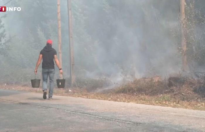 Los habitantes de Portugal se enfrentan a incendios devastadores con armas insignificantes