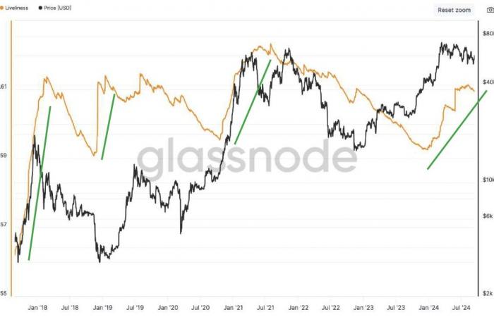 ¿Los indicadores en cadena vuelven a ser favorables? – The Market Check