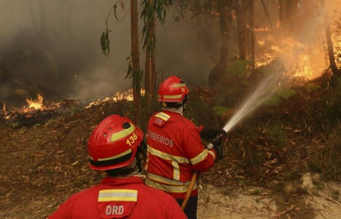 Portugal sigue enfrentándose a violentos incendios forestales