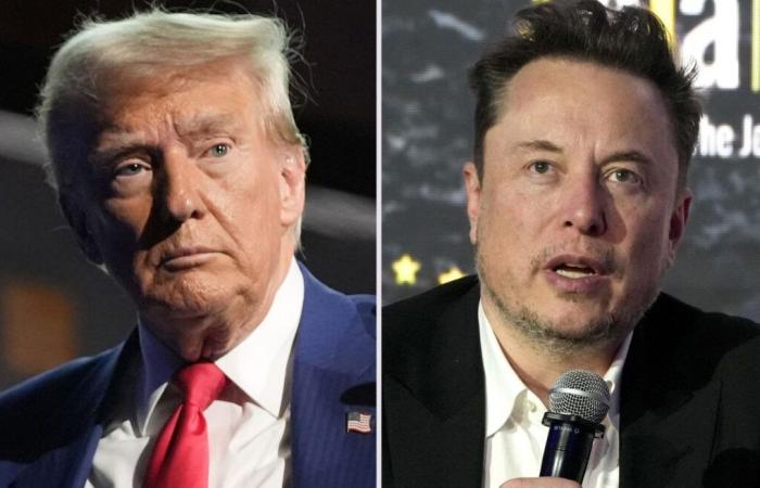 Donald Trump y Elon Musk, entre la proximidad ideológica y los intereses mutuos