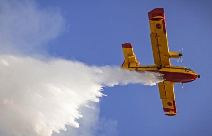 Dos aviones Canadair de la Real Fuerza Aérea lucharán contra los incendios forestales en Portugal