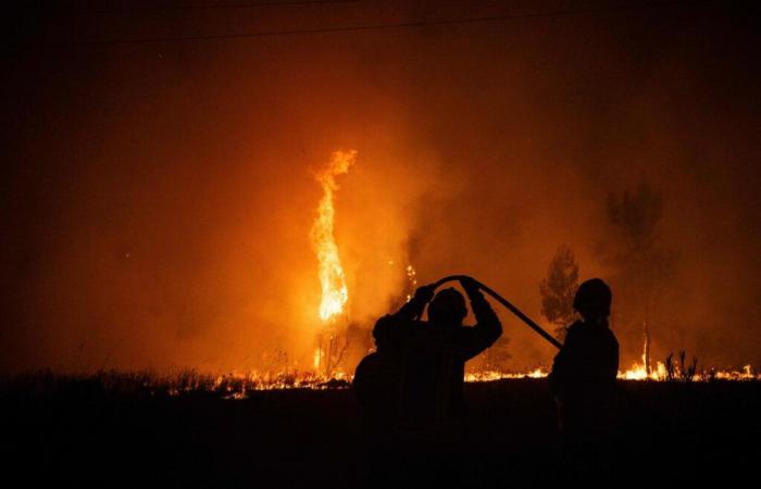 Siete muertos, incluidos cuatro bomberos, miles de hectáreas en llamas, Francia envía cuatro Canadairs