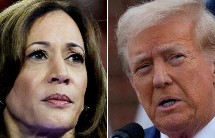 Encuesta revela que Kamala Harris supera levemente a Donald Trump en dos estados clave