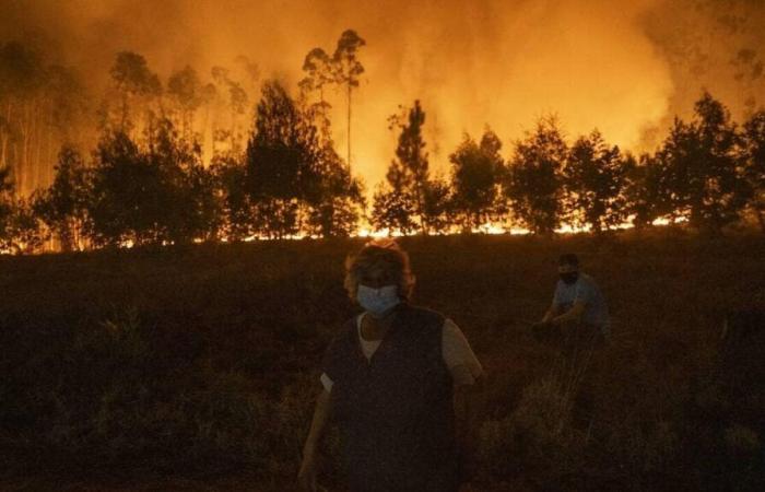 Alrededor de cuarenta incendios forestales siguen asolando el país