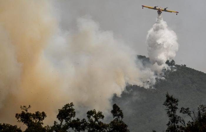 Dos Canadairs adicionales enviados por Francia