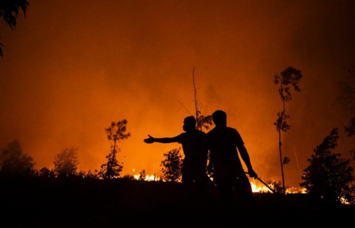 Portugal asolado por los peores incendios forestales del verano