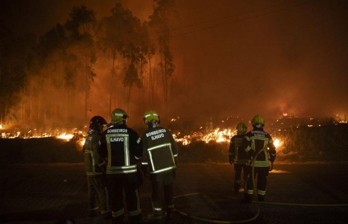 Una cuarentena de incendios forestales siguen asolando el norte y centro de Portugal