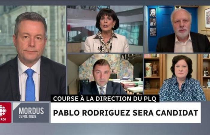 Pablo Rodríguez será candidato a la jefatura del PLQ