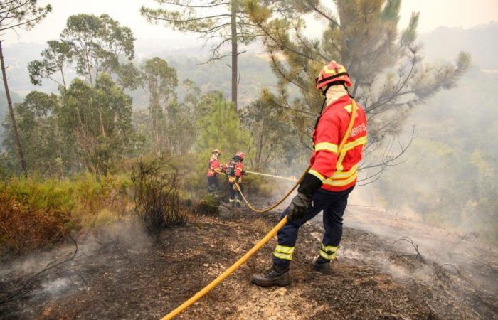 Portugal sigue luchando contra violentos incendios forestales