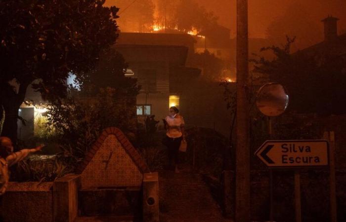 Portugal lucha sin descanso contra los incendios forestales que ya han causado 7 muertos – rts.ch