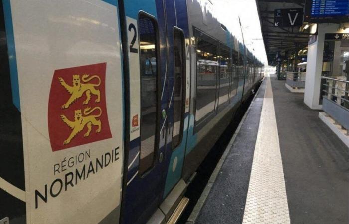 Actos maliciosos en una línea de la SNCF en Seine-Maritime: la gendarmería en el lugar