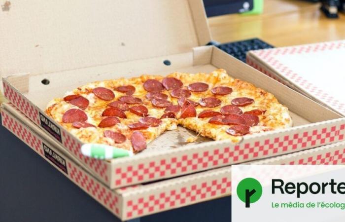 Cajas de pizza, sartenes… Nuestro cuerpo expuesto a 3.601 sustancias químicas