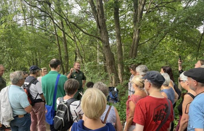 El 25 de septiembre, descubra los bosques de Yvelines con quienes les dan vida.