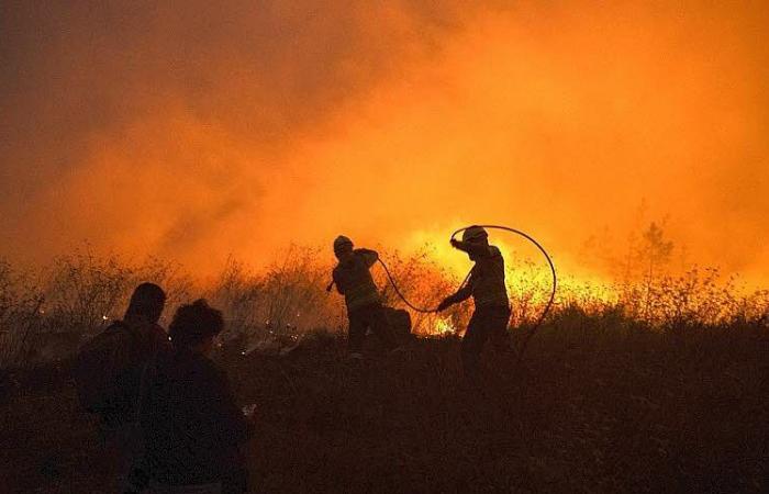 Cuarenta incendios forestales siguen activos y miles de hectáreas devastadas