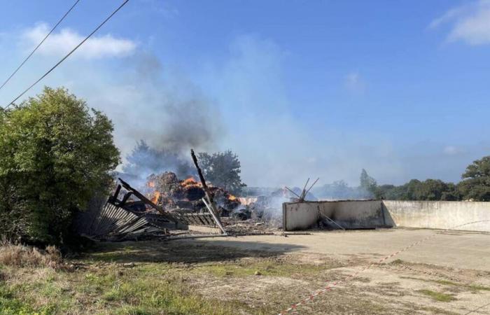 En el norte de Mayenne, un edificio agrícola de casi 500 m² destruido por un incendio