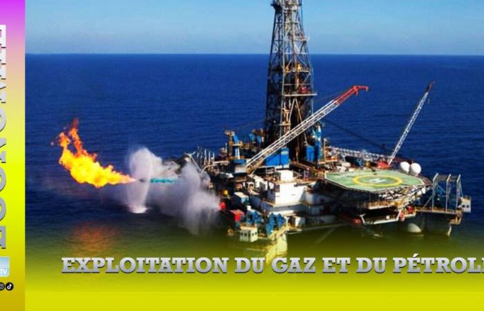 El IISD alerta sobre la “gran apuesta de los senegaleses por el gas natural licuado”