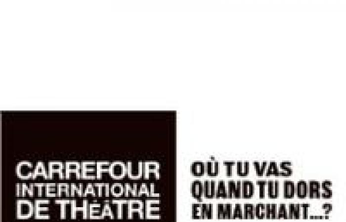 Director de Marketing y Alianzas | Carrefour International de Théâtre