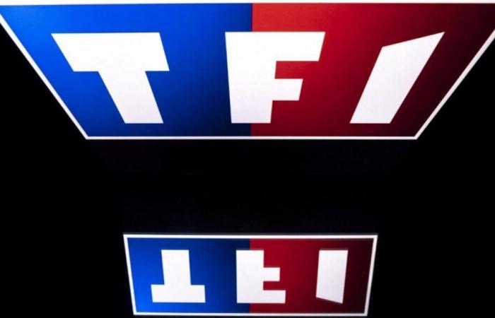 Por qué pronto podrás ver los contenidos de Arte en las plataformas TF1 y France Télévisions