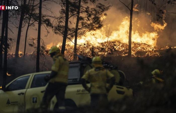 Siete muertos, entre ellos tres bomberos, el país en “situación de alerta”