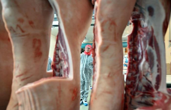 De Estados Unidos a Suiza: cómo nos influye el lobby de la carne