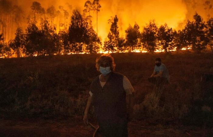 Alrededor de cuarenta incendios siguen asolando el país