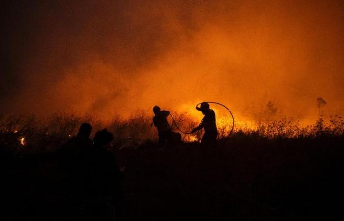 Portugal sigue luchando contra violentos incendios forestales