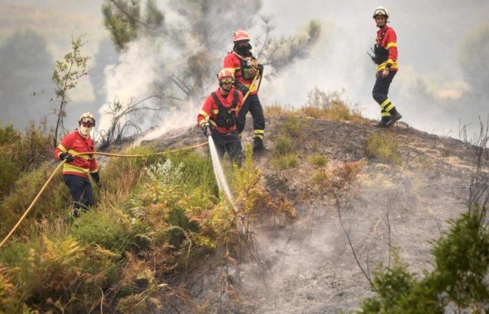 El humo llegará a Francia y España, explica Copérnico