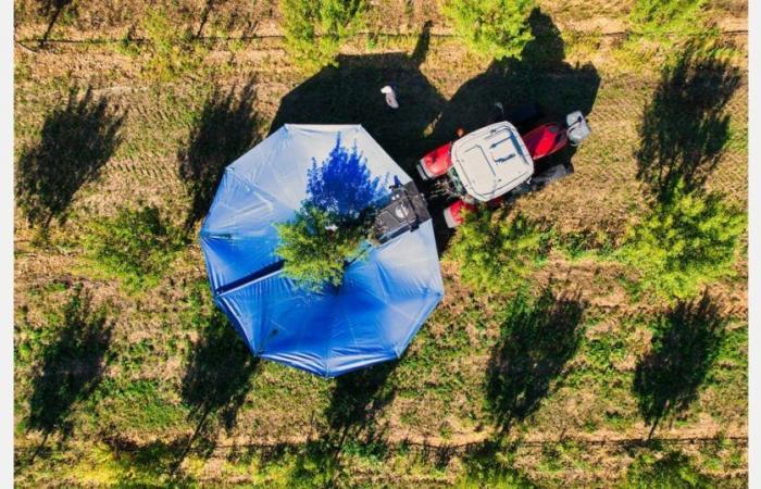 “Es raro hoy en día tener un mercado tan prometedor como el de las almendras”