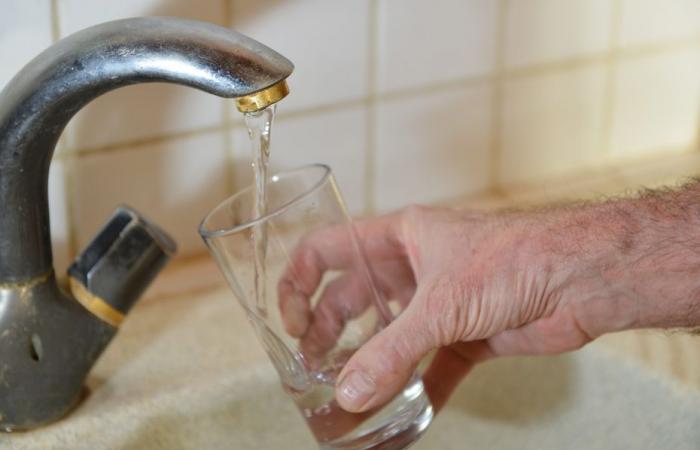 En Ródano-Alpes, tres ciudades con agua del grifo especialmente contaminada