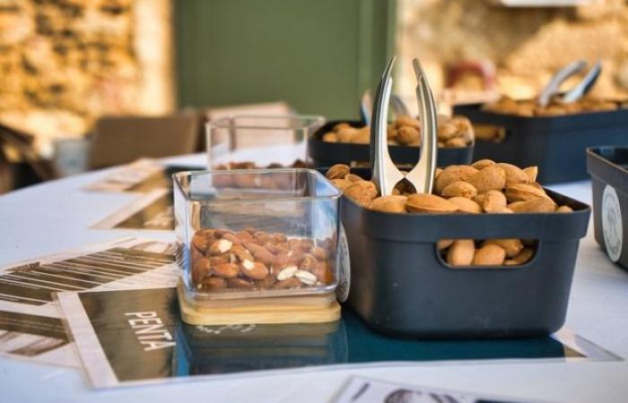 “Es raro hoy en día tener un mercado tan prometedor como el de las almendras”