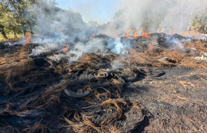 La columna de humo sobre Niort provocada por el incendio de neumáticos en Coulon