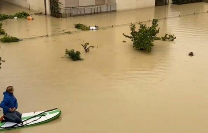 Emilia-Romaña: trenes cerrados, escuelas cerradas