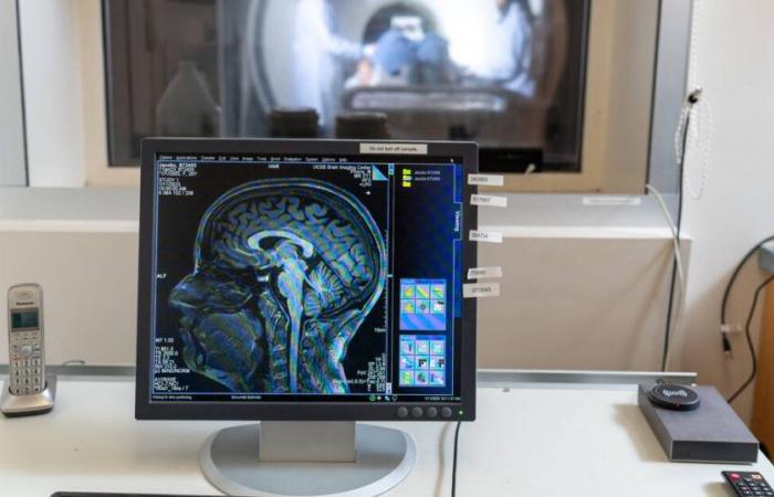 Los científicos muestran qué efectos produce realmente el embarazo en el cerebro de la madre – Libération