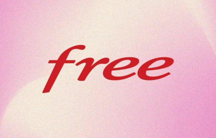 Free destruye el precio de la Freebox Revolution Light, navega con total libertad gracias a la fibra