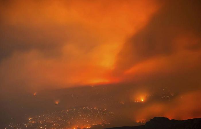 Más de 9.000 hectáreas quemadas por incendios forestales