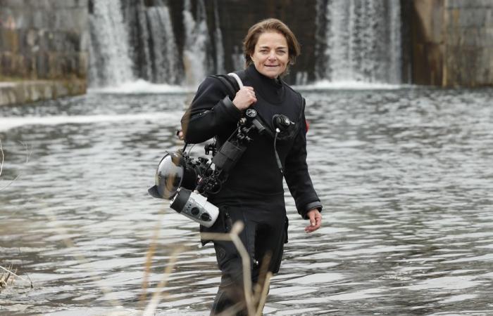 Río Saint-Laurent | Una operación de descontaminación permitirá retirar casi mil neumáticos