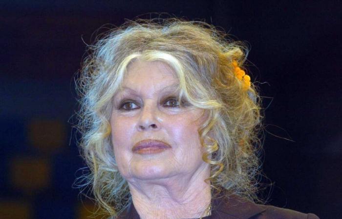 Brigitte Bardot muy amargada con la familia de Alain Delon: “Este último año ha sido lamentable”