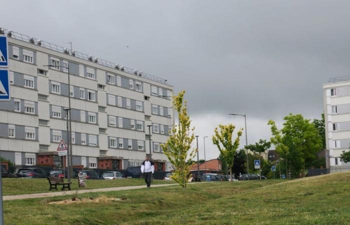 Intento de asesinato en Beauvais: el principal sospechoso es acusado y encarcelado