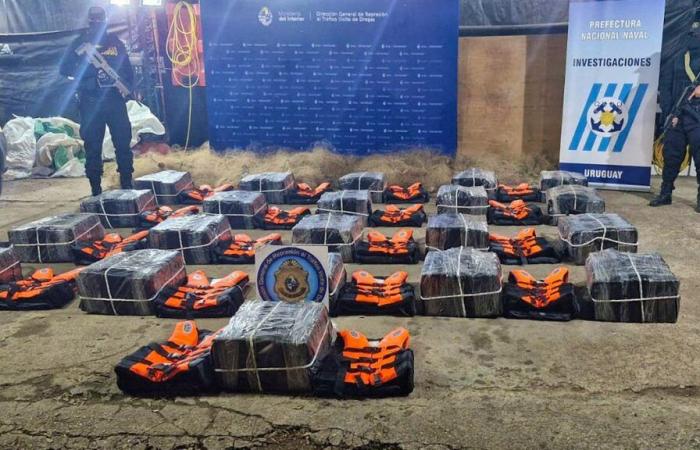 Decomisan casi una tonelada de cocaína en Uruguay