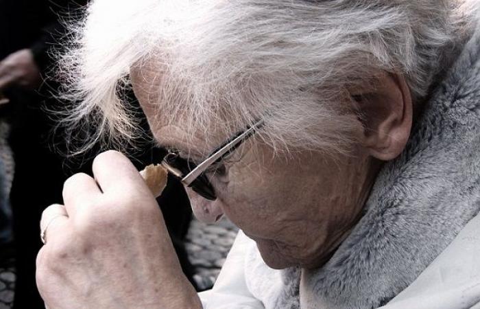 Alzheimer, la lucha silenciosa de los cuidadores familiares