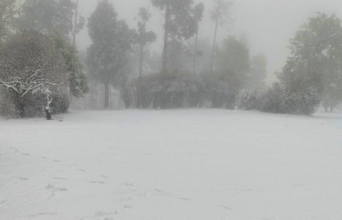 Nieve en Sudáfrica: una mujer muere de frío