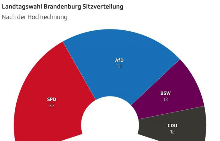 Elecciones en el estado de Brandeburgo – El SPD se impone frente al AfD – Noticias