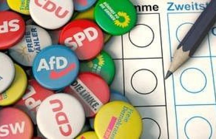 Proyección para las elecciones estatales en Brandeburgo: el SPD justo por delante del AfD