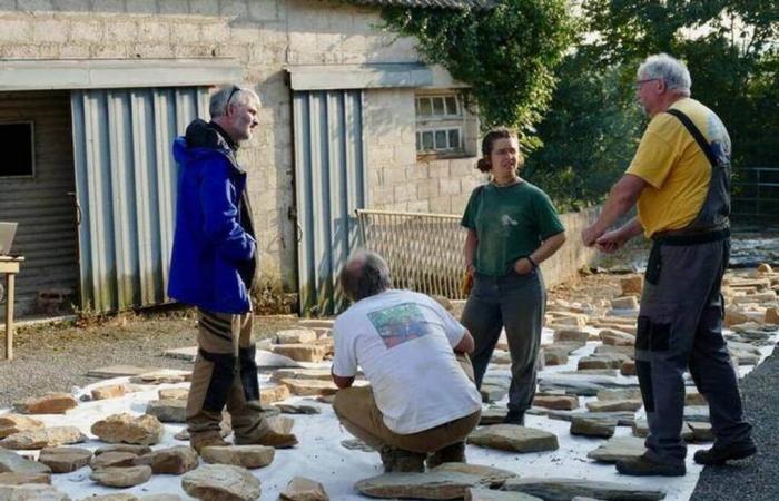 Esta mujer bretona acoge arqueólogos en su casa desde hace tres años – Edición de la tarde Ouest-France