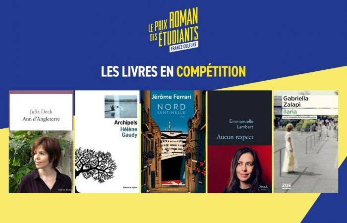 Los 5 títulos en liza para el Premio de novela estudiantil France Culture 2024