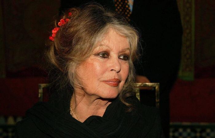 Antes de cumplir 90 años, Brigitte Bardot habla de su vida “nada divertida”