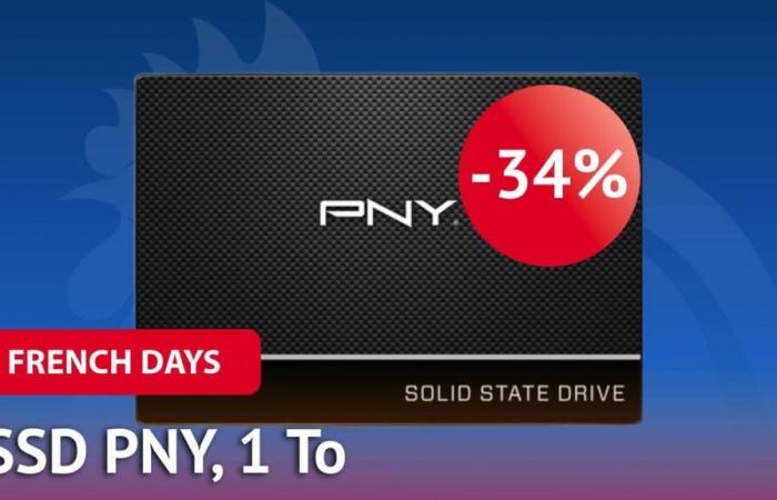 Durante los French Days, el precio de este SSD PNY para PC finalmente se vuelve accesible