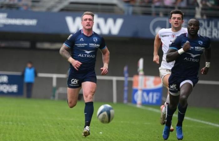 Stuart Hogg, inseguro sobre el viaje del Montpellier a Bayona, Paul Willemse regresa