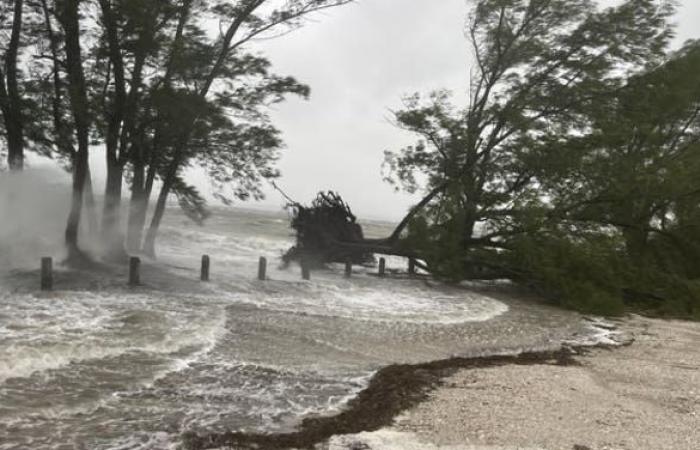 El huracán Helene toca tierra en Florida como devastadora tormenta de categoría 4